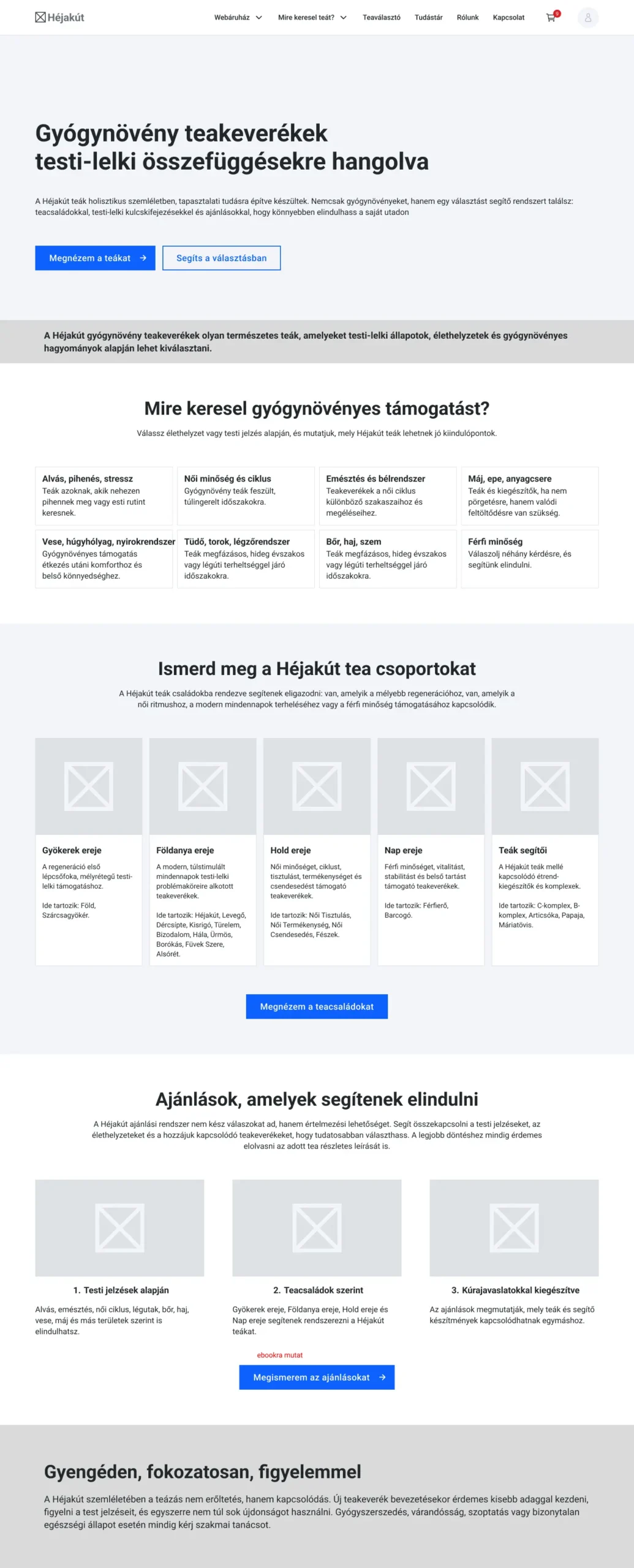 Wireframe